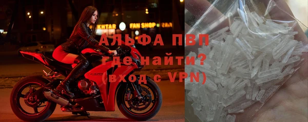 сатива Балахна