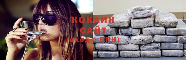сатива Балахна