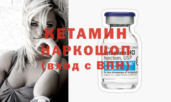 сатива Балахна