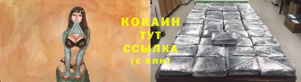 сатива Балахна