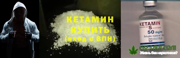 сатива Балахна