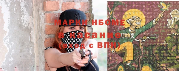 сатива Балахна