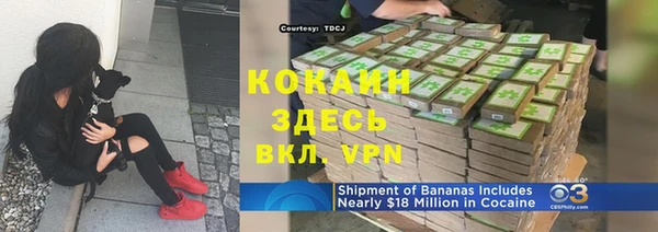 сатива Балахна
