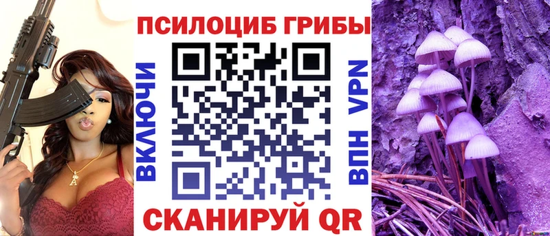 Псилоцибиновые грибы Psilocybine cubensis  купить наркотики сайты  Зерноград 